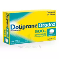 Dolipraneorodoz 500 Mg, Comprimé Orodispersible à Bordeaux